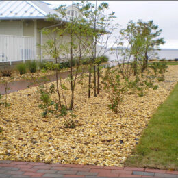 Bioretention area