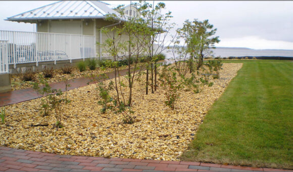 Bioretention area