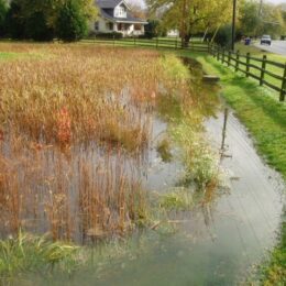 Virginia Avenue Drainage & Stormwater Management Retrofit Study (2)