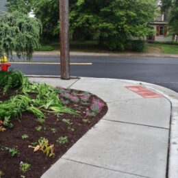 Madison Avenue, Railroad Avenue, & Monroe Avenue Rehabilitation (3)