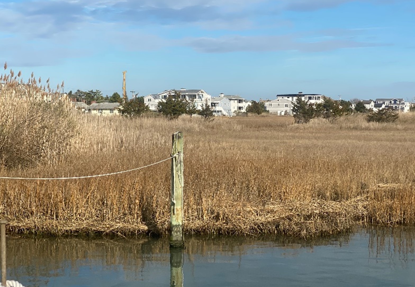 Flood Mitigation Planning Study – West Cedar Street, Lewes