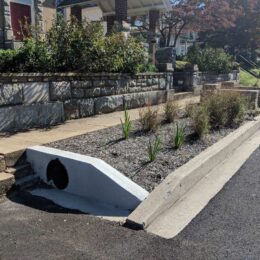 Town Hall Bioretention - North Inlet