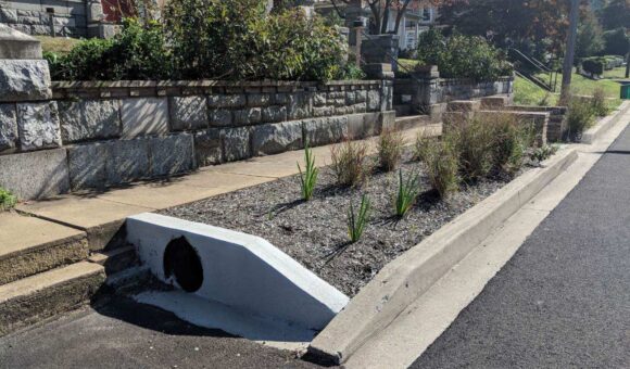 Town Hall Bioretention - North Inlet