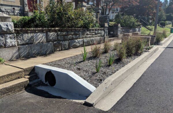 Town Hall Bioretention - North Inlet